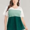 Colorblock Contrast Scalloped Trim Laser Cut Crew Neck T-shirt