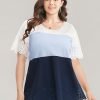 Colorblock Contrast Scalloped Trim Laser Cut Crew Neck T-shirt